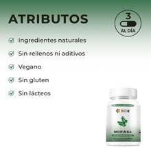 Cargar imagen en el visor de la galería, MORINGA