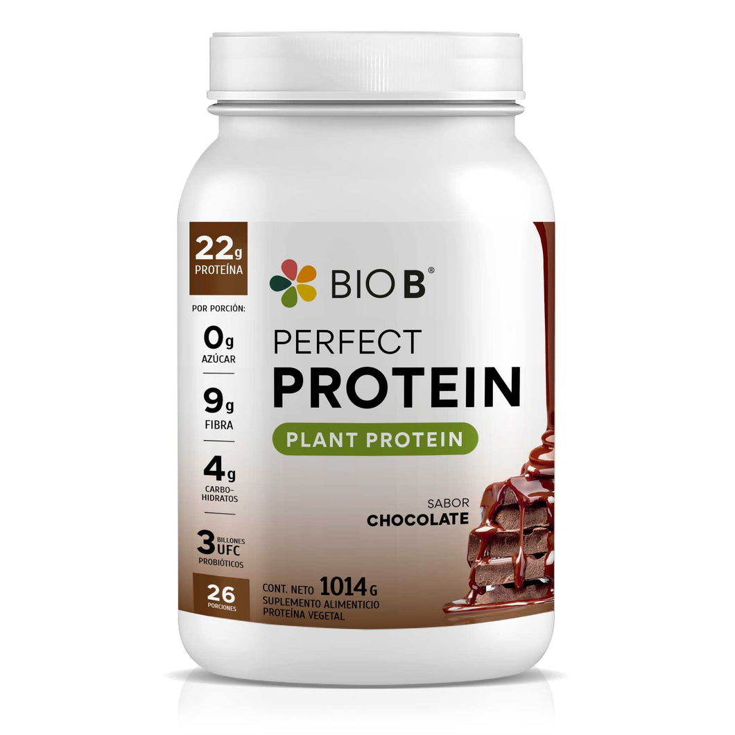 PERFECT PROTEIN SABOR CHOCOLATE
